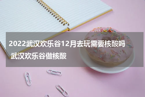 2022武汉欢乐谷12月去玩需要核酸吗 武汉欢乐谷做核酸