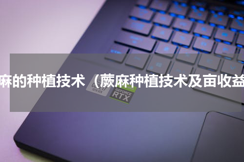蕨麻的种植技术（蕨麻种植技术及亩收益）