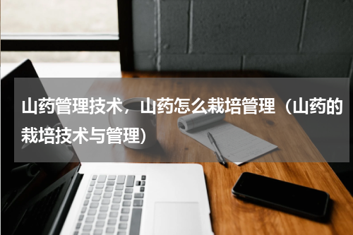 山药管理技术，山药怎么栽培管理（山药的栽培技术与管理）