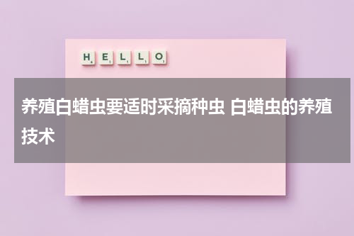 养殖白蜡虫要适时采摘种虫 白蜡虫的养殖技术