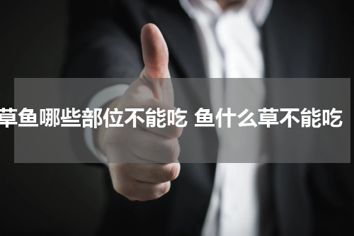 草鱼哪些部位不能吃 鱼什么草不能吃