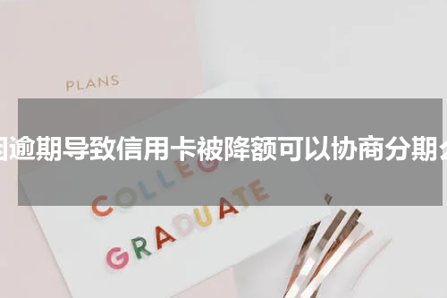 因逾期导致信用卡被降额可以协商分期么