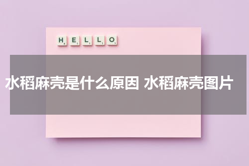 水稻麻壳是什么原因 水稻麻壳图片