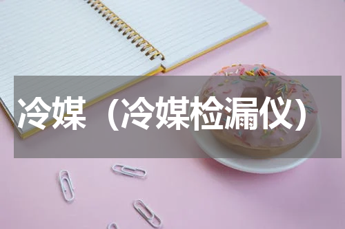 冷媒（冷媒检漏仪）