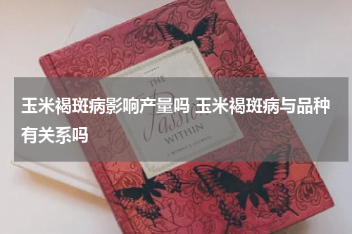 玉米褐斑病影响产量吗 玉米褐斑病与品种有关系吗
