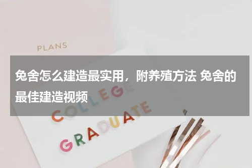 兔舍怎么建造最实用，附养殖方法 兔舍的最佳建造视频
