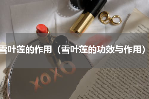 雪叶莲的作用（雪叶莲的功效与作用）