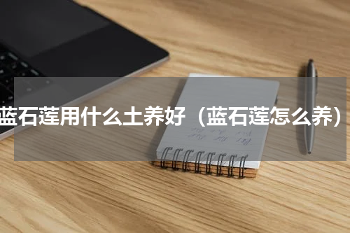 蓝石莲用什么土养好（蓝石莲怎么养）