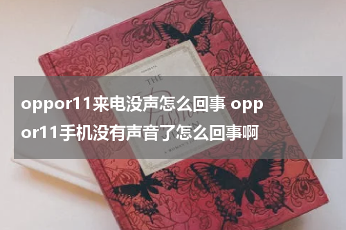 oppor11来电没声怎么回事 oppor11手机没有声音了怎么回事啊