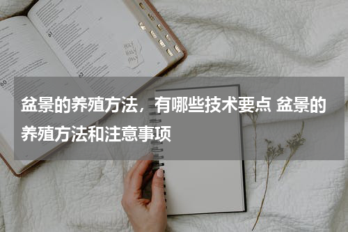 盆景的养殖方法，有哪些技术要点 盆景的养殖方法和注意事项