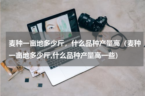 麦种一亩地多少斤，什么品种产量高（麦种一亩地多少斤,什么品种产量高一些）