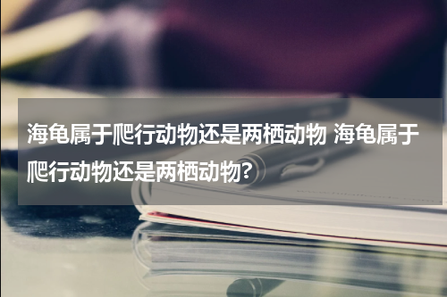 海龟属于爬行动物还是两栖动物 海龟属于爬行动物还是两栖动物?