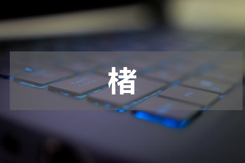 楮