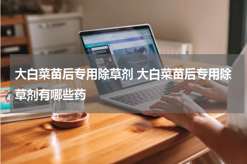 大白菜苗后专用除草剂 大白菜苗后专用除草剂有哪些药