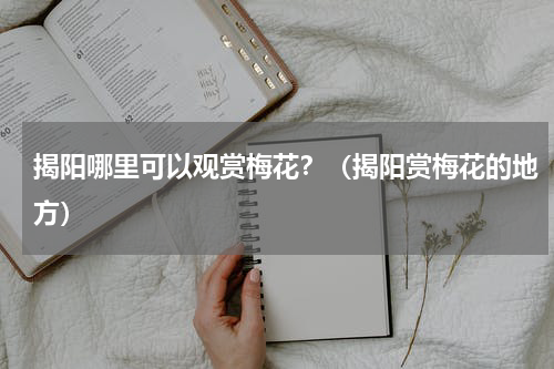 揭阳哪里可以观赏梅花？（揭阳赏梅花的地方）