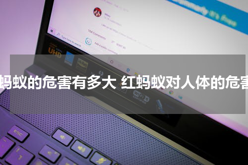 红蚂蚁的危害有多大 红蚂蚁对人体的危害