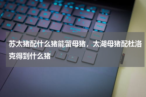 苏太猪配什么猪能留母猪，太湖母猪配杜洛克得到什么猪