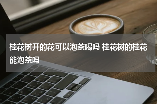 桂花树开的花可以泡茶喝吗 桂花树的桂花能泡茶吗