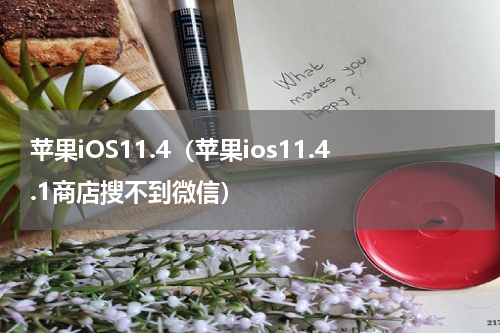苹果iOS11.4（苹果ios11.4.1商店搜不到微信）