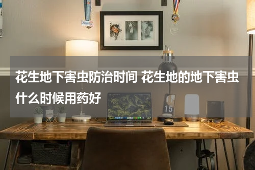 花生地下害虫防治时间 花生地的地下害虫什么时候用药好