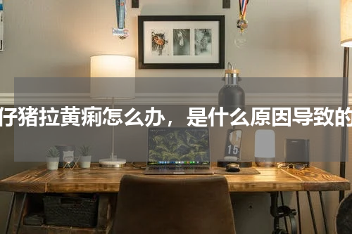 仔猪拉黄痢怎么办，是什么原因导致的