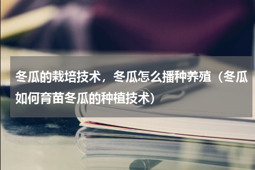 冬瓜的栽培技术，冬瓜怎么播种养殖（冬瓜如何育苗冬瓜的种植技术）