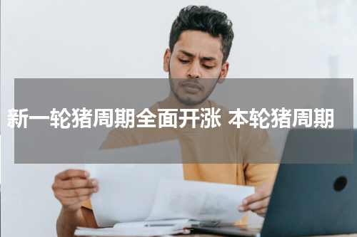 新一轮猪周期全面开涨 本轮猪周期