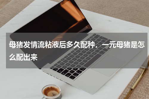 母猪发情流粘液后多久配种，一元母猪是怎么配出来