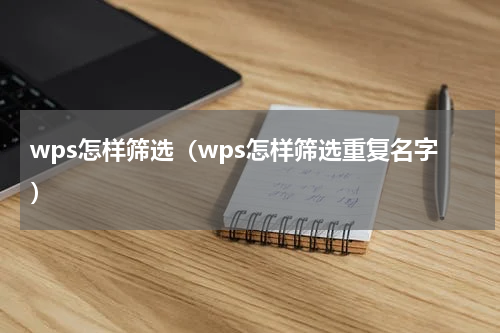 wps怎样筛选（wps怎样筛选重复名字）