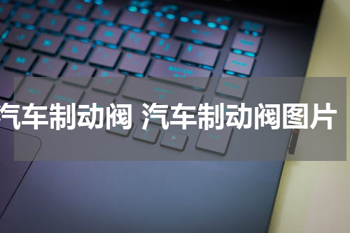 汽车制动阀 汽车制动阀图片