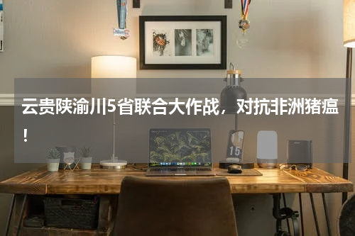云贵陕渝川5省联合大作战，对抗非洲猪瘟！