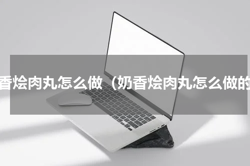 奶香烩肉丸怎么做（奶香烩肉丸怎么做的）