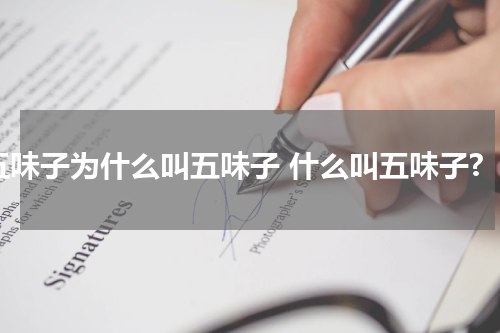 五味子为什么叫五味子 什么叫五味子?
