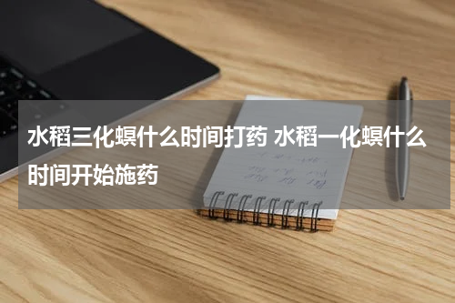 水稻三化螟什么时间打药 水稻一化螟什么时间开始施药