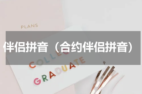 伴侣拼音（合约伴侣拼音）