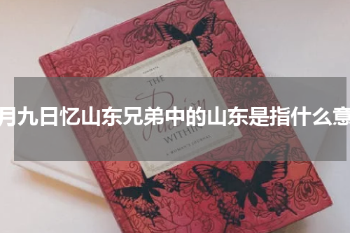 九月九日忆山东兄弟中的山东是指什么意思
