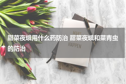 甜菜夜蛾用什么药防治 甜菜夜蛾和菜青虫的防治