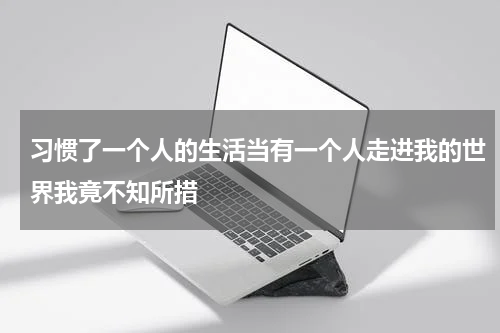 习惯了一个人的生活当有一个人走进我的世界我竟不知所措