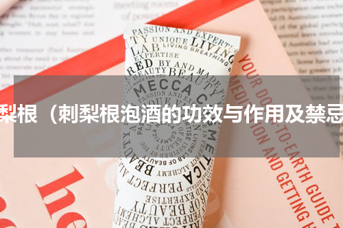 刺梨根（刺梨根泡酒的功效与作用及禁忌）