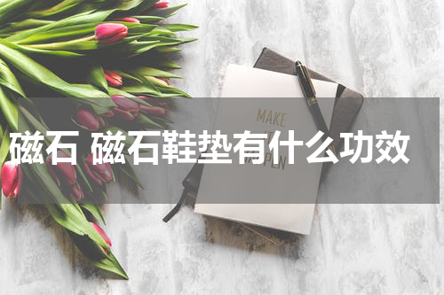 磁石 磁石鞋垫有什么功效