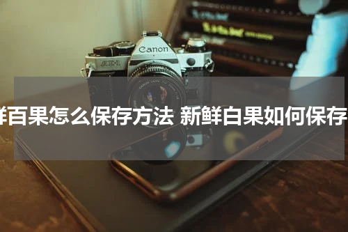 鲜百果怎么保存方法 新鲜白果如何保存