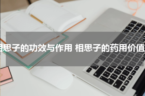 相思子的功效与作用 相思子的药用价值