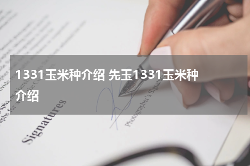 1331玉米种介绍 先玉1331玉米种介绍