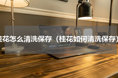 桂花怎么清洗保存（桂花如何清洗保存）