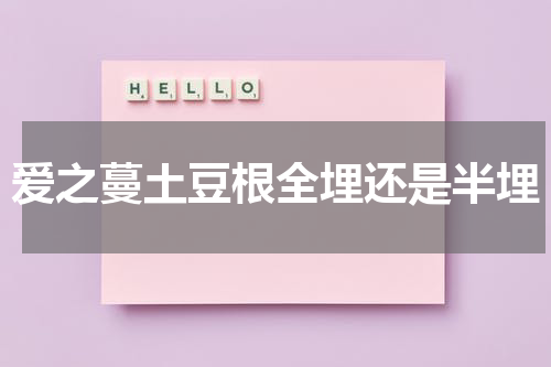 爱之蔓土豆根全埋还是半埋