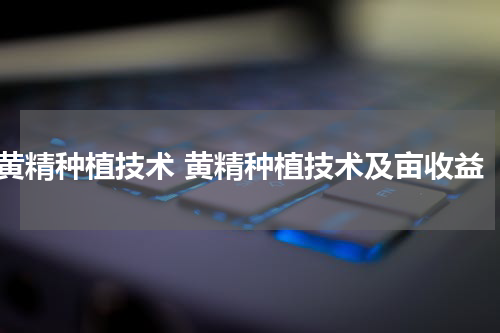 黄精种植技术 黄精种植技术及亩收益