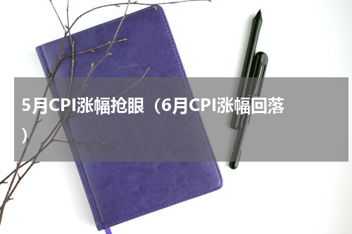 5月CPI涨幅抢眼（6月CPI涨幅回落）