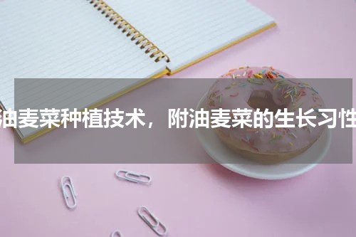 油麦菜种植技术，附油麦菜的生长习性