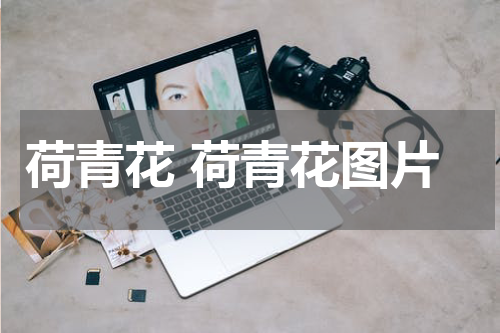 荷青花 荷青花图片