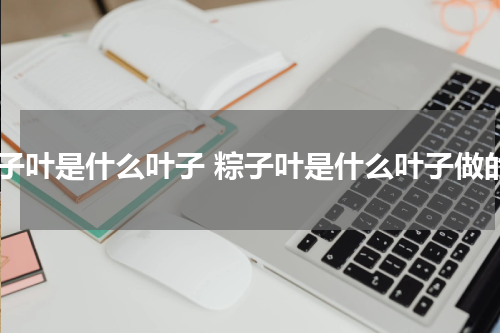 粽子叶是什么叶子 粽子叶是什么叶子做的